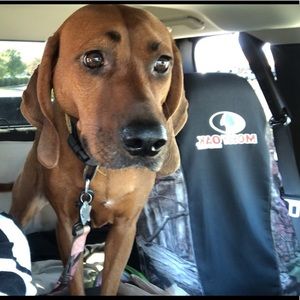 Meet your Posher, Abby